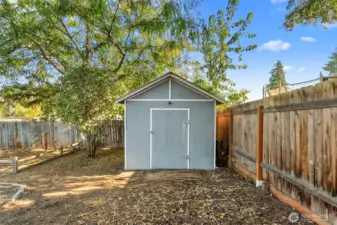 Shed