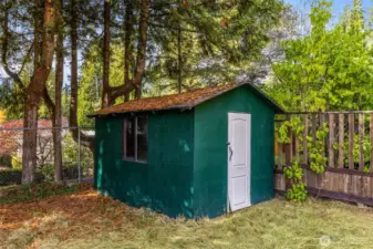 Backyard area with mature trees—excellent privacy buffer and outdoor potential.