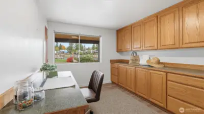 Home office with a view