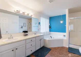 Large master bath with spacious tub