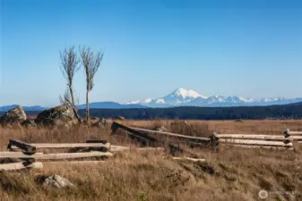 Expansive open landscape with distant snow-capped mountain views, highlighting the natural surroundings and Pacific Northwest scenery near this San Juan Island home.
