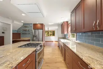 totally remodeled kitchen with top of the line appliances