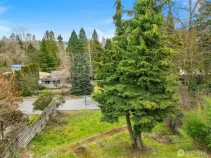 Open space characterizes the view.