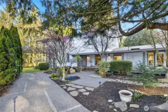 Elevated Kirkland Living