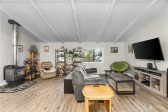 Wood stove in living room