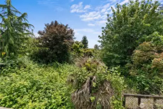 Good sized backyard