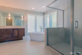 Spa-like primary bathroom large walk in closet