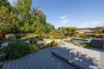 Spectacular backyard to entertain and relax, this is the oasis you've been dreaming of.