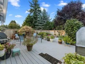 Large trex deck