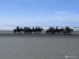 How about a horseback ride on the beach?