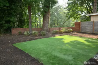 Expansive backyard.
