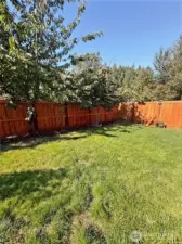 Backyard with fruit trees