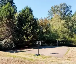 Park behind house