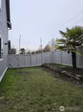 flat back yard