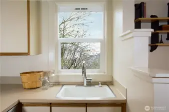 Nice view from the kitchen sink.