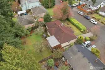 Fenced back yard with fruit trees, flowers and shrubs.