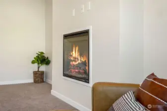 Electric Fireplace