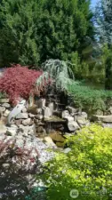 backyard waterfall