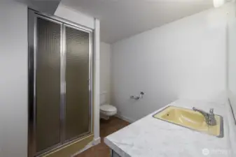 Lower level bathroom with fabulous sink!