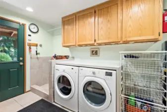 Laundry with dog wash station