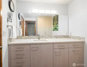 Guest bathroom