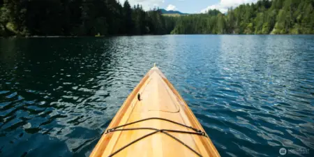 Lake Kokanee