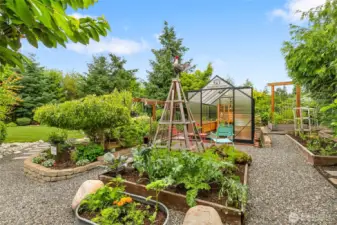 Raised garden beds + spacious greenhouse.