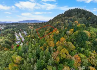 Lines are approximate, buyer to verify.