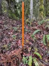 Property Stake