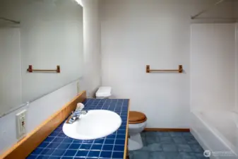 Lower level full bathroom.