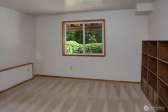 Lower level 3rd bedroom.