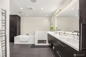Luxurious primary bath with walk-in shower and separate soaking/bubble tub