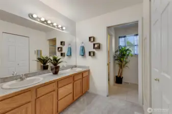 Double sinks, walk in closet to the right and there is a pocket door to the shower AND a door to the water closet. Tons of privacy!