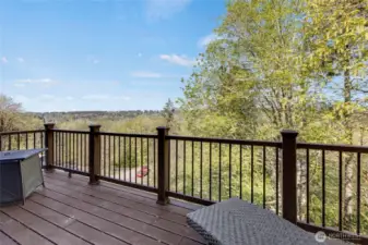 Just beautiful. Deck off the Primary. This is where I would refresh.