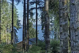 A close up of some of the spectacular views