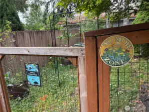 The fully fenced backyard is a low-maintenance, no-mow zone—lush with green clover for a soft, natural look that’s both sustainable and pet-friendly.