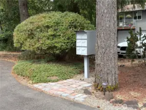 Even the mailbox hints at the natural beauty surrounding this home—nestled in a wooded setting that offers a peaceful, Northwest feel.