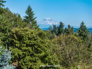Mt. View from the deck