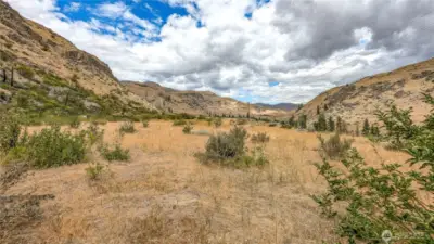 Looking North from South end of property.