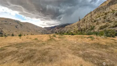 Looking South from North area of the property.