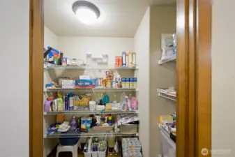Lots of storage space in this walk-in pantry!