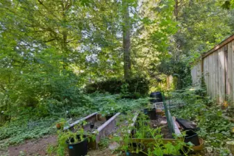 Nature at your doorstep! The wood deck patio overlooks the partially fenced backyard which includes 4 raised garden beds and composting bin for the greenthumb gardener in your life!