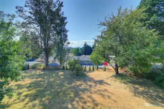 Huge fully fenced yard with fruit trees