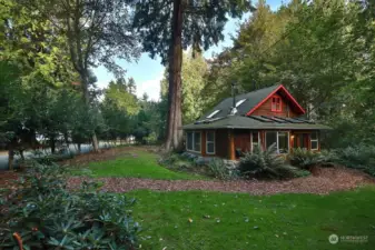 This is the south side of the cottage, access is via the French door entry. You can see Saratoga Creek Lane along the left edge of this photo. Lush lawn with a magnificent cedar.