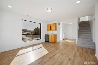 Downstairs Living Rom