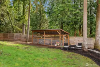 Chicken Coop