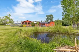 Back view from pond