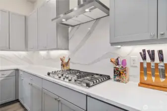 Attractive hood vent and stunning slab Quartz backsplash.