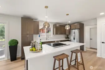 Fully renovated kitchen with high-end appliances, new quartz countertops, new flooring, new lighting, new cabinetry.