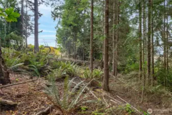 From 2022 when trees and bushes were cleared.